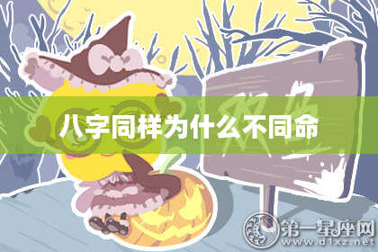 八字同样为什么不同命