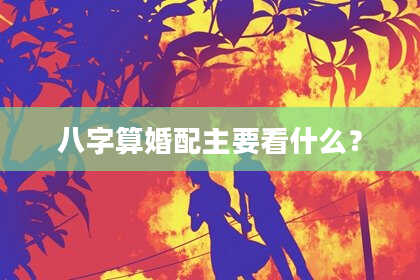 八字算婚配主要看什么?