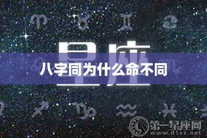 八字同为什么命不同
