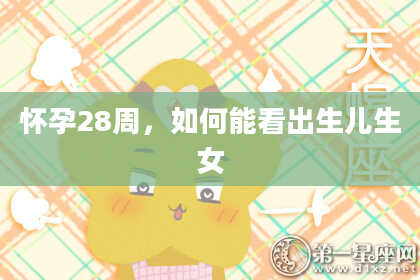 怀孕28周,如何能看出生儿生女