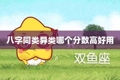八字同类异类哪个分数高好用