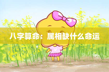 八字算命：属相缺什么命运