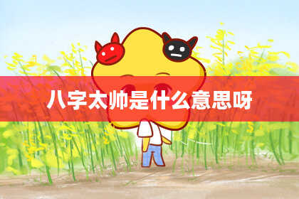 八字太帅是什么意思呀
