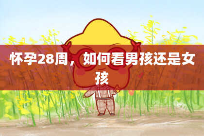 怀孕28周，如何看男孩还是女孩