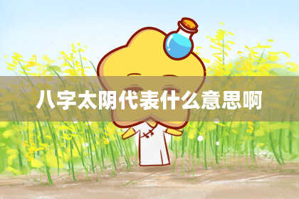 八字太阴代表什么意思啊