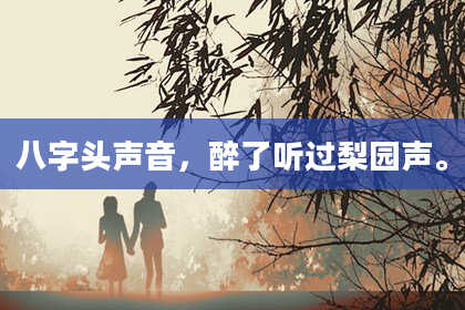 八字头声音，醉了听过梨园声。