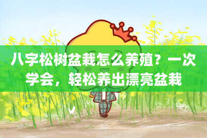 八字松树盆栽怎么养殖?一次学会,轻松养出漂亮盆栽