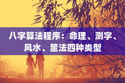 八字算法程序:命理、测字、风水、筮法四种类型