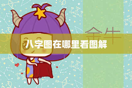八字图在哪里看图解