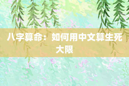 八字算命：如何用中文算生死大限
