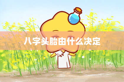 八字头胎由什么决定