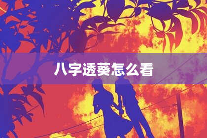 八字透葵怎么看