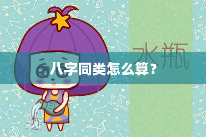 八字同类怎么算？
