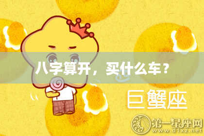八字算开,买什么车?