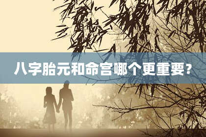 八字胎元和命宫哪个更重要？