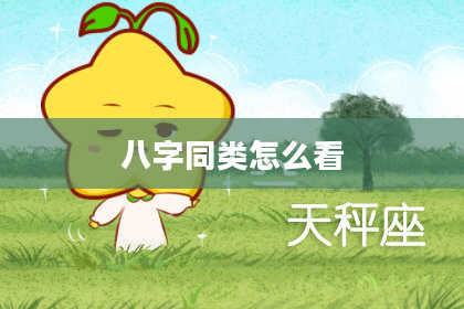 八字同类怎么看