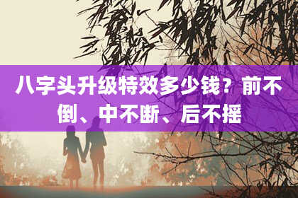 八字头升级特效多少钱？前不倒、中不断、后不摇