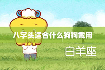 八字头适合什么狗狗戴用