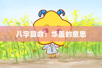 八字算命:华盖的意思