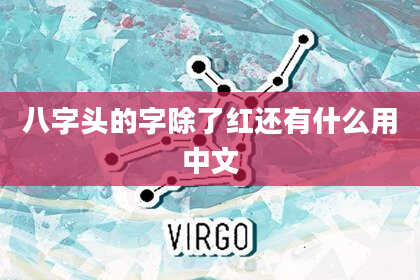 八字头的字除了红还有什么用中文