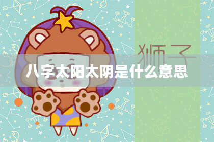 八字太阳太阴是什么意思