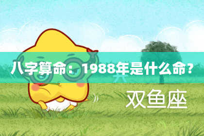 八字算命:1988年是什么命?
