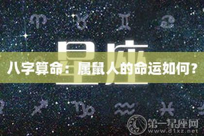 八字算命：属鼠人的命运如何？