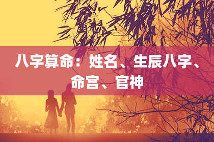 八字算命：姓名、生辰八字、命宫、官神