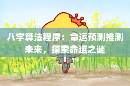 八字算法程序:命运预测推测未来,探索命运之谜