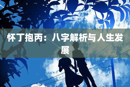 怀丁抱丙:八字解析与人生发展