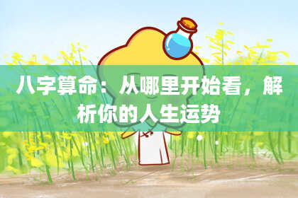 八字算命:从哪里开始看,解析你的人生运势