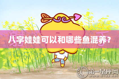 八字娃娃可以和哪些鱼混养？