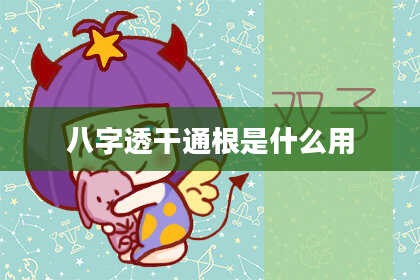 八字透干通根是什么用