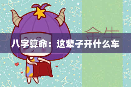 八字算命：这辈子开什么车