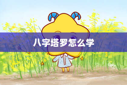 八字塔罗怎么学