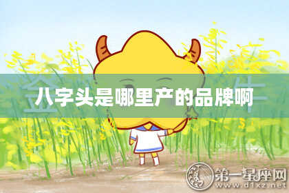 八字头是哪里产的品牌啊
