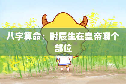 八字算命：时辰生在皇帝哪个部位