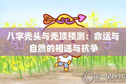 八字秃头与秃顶预测：命运与自然的相遇与抗争