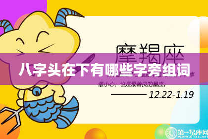 八字头在下有哪些字旁组词