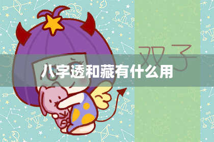 八字透和藏有什么用