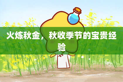 火炼秋金,秋收季节的宝贵经验