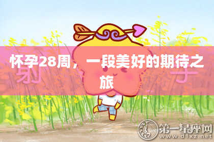 怀孕28周,一段美好的期待之旅