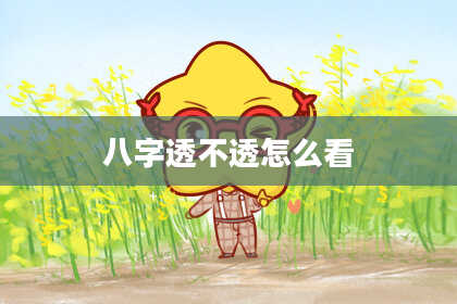 八字透不透怎么看