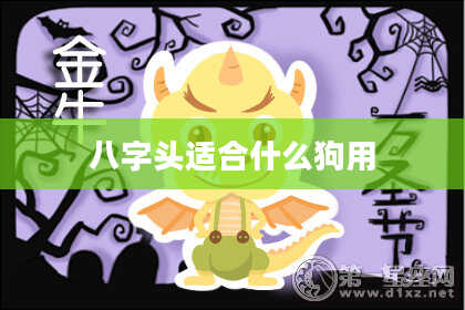 八字头适合什么狗用