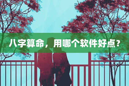 八字算命,用哪个软件好点?