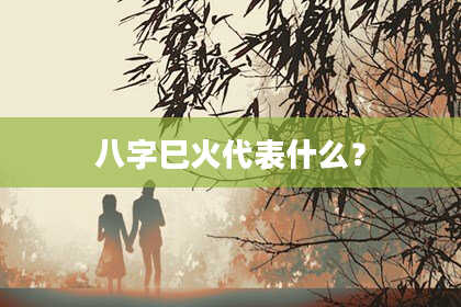 八字巳火代表什么？