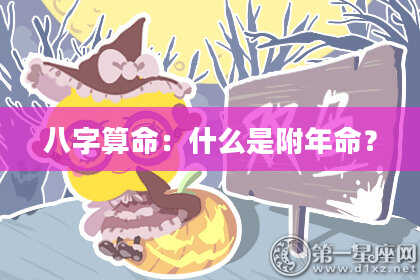 八字算命:什么是附年命?