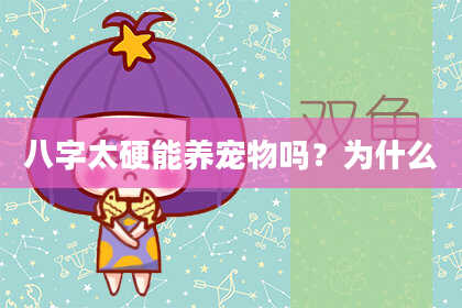 八字太硬能养宠物吗？为什么
