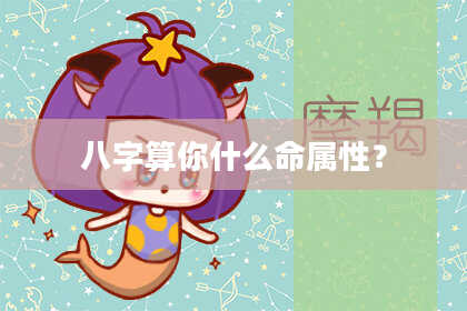 八字算你什么命属性?