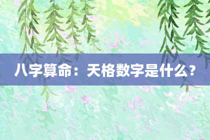 八字算命：天格数字是什么？